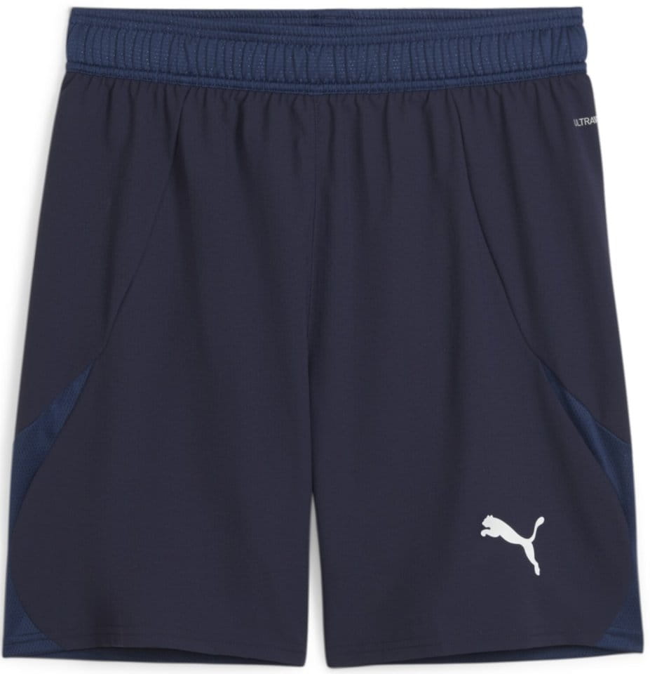 Puma teamFINAL Shorts